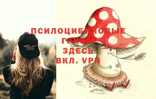 винт Армянск
