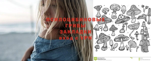 шишки Пересвет